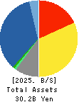 Ryoyu Systems Co.,Ltd. Balance Sheet 2025年Mar期 Ryoyu Systems Co.,Ltd. Balance Sheet 2025年3月期