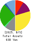 SAN HOLDINGS,INC. Balance Sheet 2025年3月期