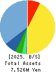 Double Standard Inc. Balance Sheet 2025年3月期