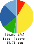 JAPAN MATERIAL Co.,Ltd. Balance Sheet 2025年Mar期 JAPAN MATERIAL Co.,Ltd. Balance Sheet 2025年3月期