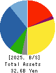 Techno Smart Corp. Balance Sheet 2025年3月期