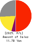 BrainPad Inc. Profit and Loss Account 2025年Jun期 BrainPad Inc. Profit and Loss Account 2025年6月期