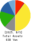Gun Ei Chemical Industry Co.,Ltd. Balance Sheet 2025年Mar期 Gun Ei Chemical Industry Co.,Ltd. Balance Sheet 2025年3月期