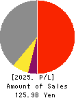 DTS CORPORATION Profit and Loss Account 2025年Mar期 DTS CORPORATION Profit and Loss Account 2025年3月期