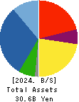 IKEGAMI TSUSHINKI CO.,LTD. Balance Sheet 2024年3月期