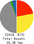 Metaplanet Inc. Balance Sheet 2024年Dec期 Metaplanet Inc. Balance Sheet 2024年12月期
