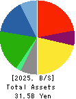 HIGASHI HOLDINGS CO.,LTD. Balance Sheet 2025年Mar期 HIGASHI HOLDINGS CO.,LTD. Balance Sheet 2025年3月期