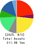 AIN HOLDINGS INC. Balance Sheet 2025年Apr期 AIN HOLDINGS INC. Balance Sheet 2025年4月期