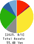 RKB MAINICHI HOLDINGS CORPORATION Balance Sheet 2025年Mar期 RKB MAINICHI HOLDINGS CORPORATION Balance Sheet 2025年3月期