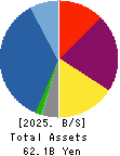 Wealth Management, Inc. Balance Sheet 2025年3月期