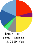Virtualex Holdings,Inc. Balance Sheet 2025年3月期