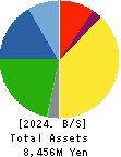 TEIN, INC. Balance Sheet 2024年3月期
