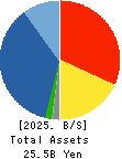DVx Inc. Balance Sheet 2025年Mar期 DVx Inc. Balance Sheet 2025年3月期