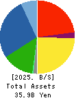OKADA AIYON CORPORATION Balance Sheet 2025年Mar期 OKADA AIYON CORPORATION Balance Sheet 2025年3月期