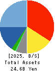 m-up holdings, Inc. Balance Sheet 2025年3月期
