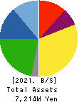 TEIN, INC. Balance Sheet 2021年Mar期 TEIN, INC. Balance Sheet 2021年3月期