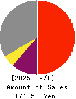 The 77 Profit and Loss Account 2025年3月期