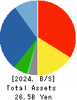 YAMASHITA HEALTH CARE HOLDINGS,INC. Balance Sheet 2024年5月期