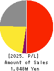 WACUL.INC Profit and Loss Account 2025年Feb期 WACUL.INC Profit and Loss Account 2025年2月期