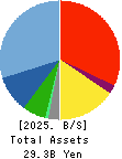 WELLNET CORPORATION Balance Sheet 2025年Jun期 WELLNET CORPORATION Balance Sheet 2025年6月期