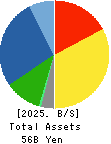 Scroll Corporation Balance Sheet 2025年Mar期 Scroll Corporation Balance Sheet 2025年3月期