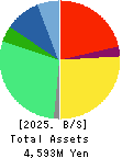 Datasection Inc. Balance Sheet 2025年Mar期 Datasection Inc. Balance Sheet 2025年3月期