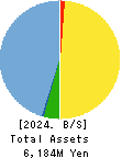 Cuorips Inc. Balance Sheet 2024年Mar期 Cuorips Inc. Balance Sheet 2024年3月期