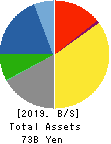 Arisawa Mfg. co.,Ltd. Balance Sheet 2019年3月期