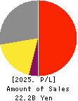 Startia Holdings,Inc. Profit and Loss Account 2025年3月期