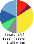 ODK Solutions Company,Ltd. Balance Sheet 2025年Mar期 ODK Solutions Company,Ltd. Balance Sheet 2025年3月期