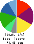 HURXLEY CORPORATION Balance Sheet 2025年Mar期 HURXLEY CORPORATION Balance Sheet 2025年3月期
