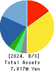 Management Solutions Co.,Ltd. Balance Sheet 2024年Dec期 Management Solutions Co.,Ltd. Balance Sheet 2024年12月期