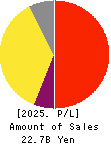 YAMADA Consulting Group Co.,Ltd. Profit and Loss Account 2025年Mar期 YAMADA Consulting Group Co.,Ltd. Profit and Loss Account 2025年3月期