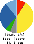 WA,Inc. Balance Sheet 2025年Jan期 WA,Inc. Balance Sheet 2025年1月期