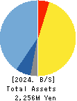 MRSO Inc. Balance Sheet 2024年Dec期 MRSO Inc. Balance Sheet 2024年12月期