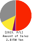 TDSE Inc. Profit and Loss Account 2023年3月期