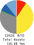 MegaChips Corporation Balance Sheet 2024年3月期