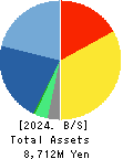 R&D COMPUTER CO.,LTD. Balance Sheet 2024年3月期