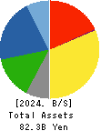 Nippon Carbon Co.,Ltd. Balance Sheet 2024年Dec期 Nippon Carbon Co.,Ltd. Balance Sheet 2024年12月期