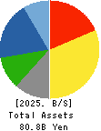 MATSUI CONSTRUCTION CO.,LTD. Balance Sheet 2025年Mar期 MATSUI CONSTRUCTION CO.,LTD. Balance Sheet 2025年3月期