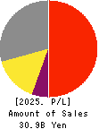 SOFTCREATE HOLDINGS CORP. Profit and Loss Account 2025年3月期
