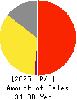 WDI Corporation Profit and Loss Account 2025年Mar期 WDI Corporation Profit and Loss Account 2025年3月期