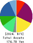 TSUBAKI NAKASHIMA CO.,LTD. Balance Sheet 2024年Dec期 TSUBAKI NAKASHIMA CO.,LTD. Balance Sheet 2024年12月期