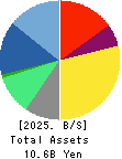 TECMIRA HOLDINGS INC. Balance Sheet 2025年2月期