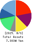 Eltes Co.,Ltd. Balance Sheet 2025年Feb期 Eltes Co.,Ltd. Balance Sheet 2025年2月期