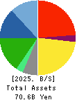 G-7 HOLDINGS Inc. Balance Sheet 2025年Mar期 G-7 HOLDINGS Inc. Balance Sheet 2025年3月期