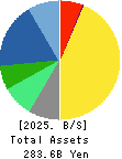 Nippon Shinyaku Co.,Ltd. Balance Sheet 2025年3月期