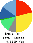 NTT DATA INTRAMART CORPORATION Balance Sheet 2024年3月期