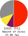 Gamecard-Joyco Holdings,Inc. Profit and Loss Account 2025年3月期