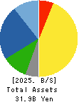 Dainichi Co.,Ltd. Balance Sheet 2025年Mar期 Dainichi Co.,Ltd. Balance Sheet 2025年3月期